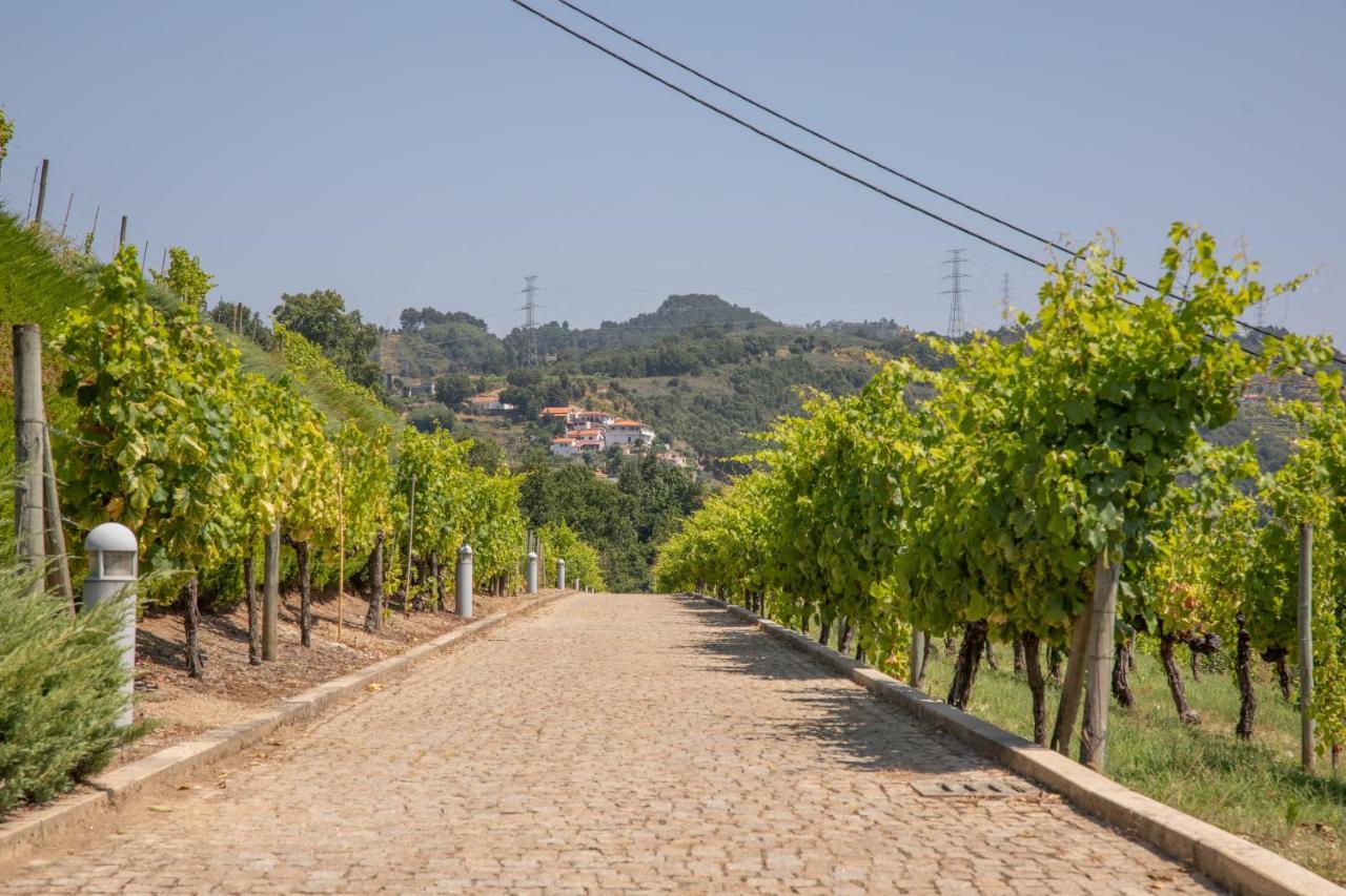 Ferienwohnung Quinta Da Granja Baião Exterior foto